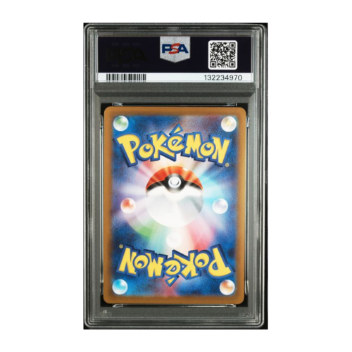 Pikachu 9 (2).png
